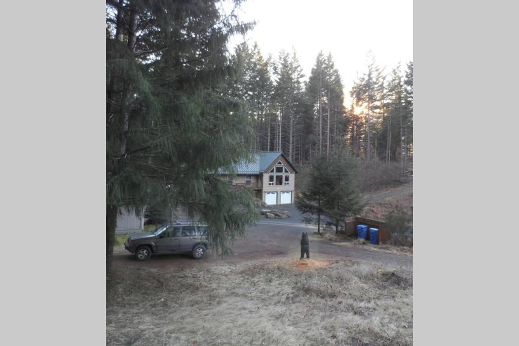 Mountainside Chalet - Tiny Home Packwood Exterior photo