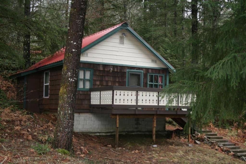 Mountainside Chalet - Tiny Home Packwood Exterior photo