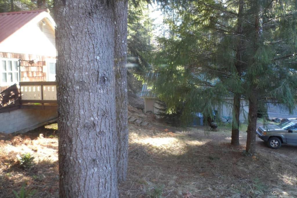 Mountainside Chalet - Tiny Home Packwood Exterior photo
